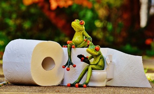 Illustration de toilettes.