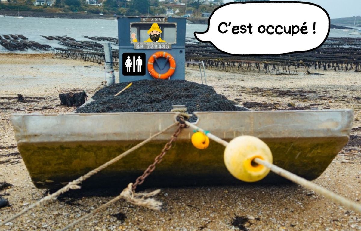 « La plus grande connerie du monde »... Des toilettes obligatoires sur les bateaux ? Les ostréiculteurs s'étranglent