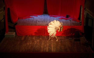 Strasbourg: Un festival burlesque aura lieu à Strasbourg en février 2019 (Illustration)
