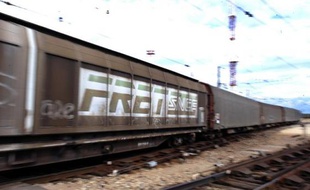 Le président de l'Autorité de régulation des activités ferroviaires (Araf), Pierre Cardo, estime que les faiblesses du fret ferroviaire en France sont dues surtout à un "problème de coût" et non à l'ouverture à la concurrence.
