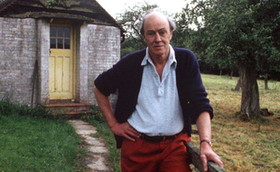 L'écrivain Roald Dahl en 1988.