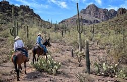 Il était une fois en Arizona