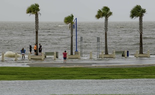 La tempête Barry à La Nouvelle-Orléans, le 15 juillet 2019 (illustration).