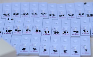 Des tests pour détecter le Covid-19.