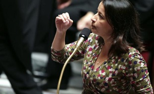 L'Assemblée a adopté mardi, par 316 voix contre 211, la seconde version du projet de loi Duflot sur le logement social qui avait été invalidé le 24 octobre dernier par le Conseil constitutionnel pour non respect de la procédure parlementaire.