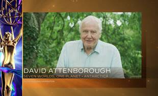 David Attenborough, 94 ans.