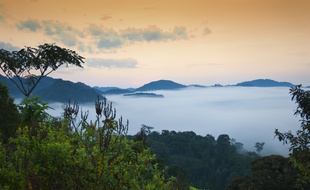 Ses parcs naturels font du Rwanda une destination de choix pour l'écotourisme.