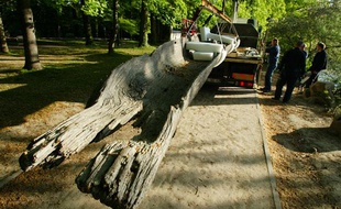 Une pirogue millénaire installée depuis des années au parc de la Tête d'Or a été retirée le 26 avril 2011 pour être exposée au musée Escale Haut-Rhône, dans l'Ain, à proximité du lieu de sa découverte.