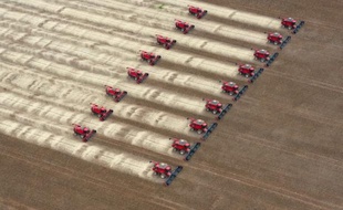 Des moissoneuses batteuses lors d'une démonstration à la presse à Campo Novo do Parecis à 400km au nord-ouest de Cuiaba, dans l'Etat de Mato Grosso au Brésil, le 27 mars 2012