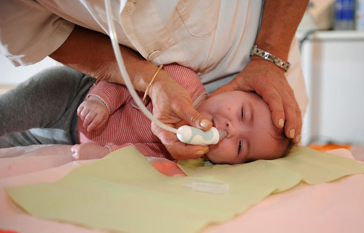 Seine-et-Marne : avec Cuisinez pour bébé, ils veulent faciliter la