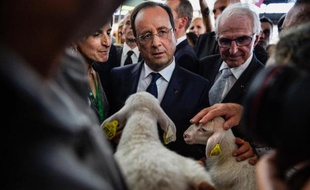 François Hollande a tenté de rassurer mercredi des éleveurs inquiets, parfois véhéments, et s'est engagé à leur donner la priorité dans la future politique agricole commune (2014-2020).
