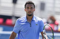 Toujours blessé au dos, Arthur Fils déclare forfait pour l’US Open