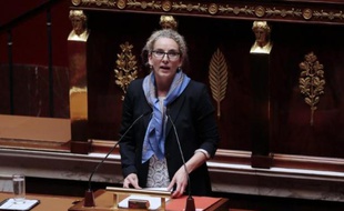 Le renvoi du gouvernement mardi de la ministre de l'Ecologie, Delphine Batho, pour avoir critiqué le budget 2014 en raison des coupes sévères que subissait son ministère, n'est pas une bonne nouvelle pour les ONG environnementales.
