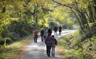 Des personnes participent à une marche en mémoire à Rémi Fraisse, le 25 octobre 2015 à Sivens, dans le Tarn, où ce dernier est décédé lors d'un affrontement entre zadistes et forces de l'ordre