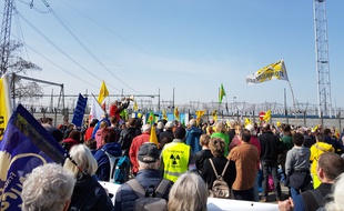 Rassemblement sous le soleil en Alsace, à proximité de la centrale de Fessenheim, ce dimanche.