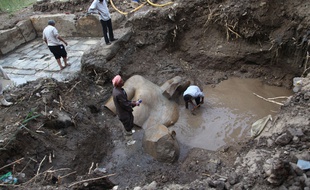 Des restes de statues présentées comme celles de pharaons de la XIXe dynastie (XIIIe siècle avant J.-C.) ont été découverts dans une fosse à proximité du temple de Ramsès II, dans la banlieue du Caire, a annoncé le 9 mars 2017 le ministère égyptien des Antiquités.