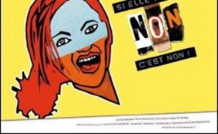 Une femme meurt en France en moyenne tous les trois jours victime de violences conjugales, et pour certains, seule une loi cadre permettra d'enrayer ce fléau qui touche tous les milieux sociaux.