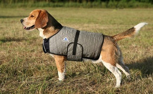 Ce manteau rafraîchit le chien en cas de forte chaleur.