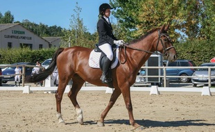 Charlotte Demeitrache, malvoyante, participe à des compétitions de dressage avec l'association ParA Cheval.