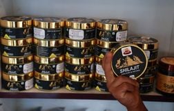 Comment des pubs pour le « shilajit » usurpent l’identité de personnalités