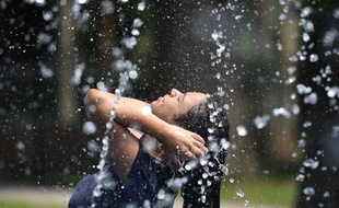 59 départements sont toujours en alerte canicule (image d'illustration).