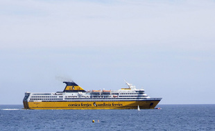 Les navires de Corsica Ferries sont actuellement les seuls à assurer la liaison Nice-Corse