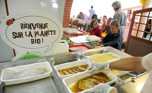 Les professionnels veulent davantage investir la restauration scolaire pour développer leur secteur.