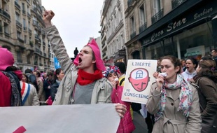 Deux incidents ont eu lieu mardi soir en marge de la manifestation organisée à Versailles (Yvelines) par le collectif de La manif pour tous, a-t-on appris mercredi de source policière.