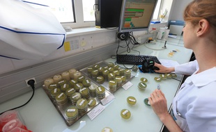 Strasbourg le 16 juillet 2018. Le Centre d'analyses et de recherches (CAR) à Illkirch-Graffenstden effectue les analyses d'eau.