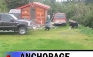 Il sauve un bébé ours avec son Ford Super Duty
