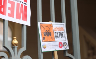 Illustration de la lutte contre l'usage des pesticides ici lors d'une manifestation à Rennes.
