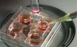 Le projet de loi bioéthique doit être discuté en janvier 2019.