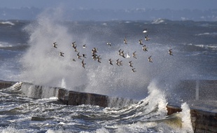 La tempête Carmen frappe Prefailles, dans l'ouest de la France, lundi 1er janvier.