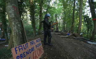 Depuis leur intervention pour expulser les occupants de la ZAD de Kolbsheim, les gendarmes mobiles encadrent la forêt où le déboisement a commencé ce mercredi.