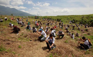 Des étudiants plantent des arbres pour protéger la forêt tropicale, à Manille, en février 2011.