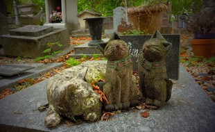 Le cimetières des animaux à Asnières-sur-Seine.