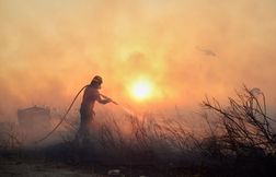 Les incendies continuent de faire rage en Grèce