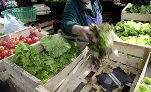 Un maraîcher choisi une salade de culture biologique sur un étal du marché des fossés Saint Julien à Caen. (Photo illustration).