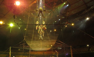Les trapézistes du Cirque du Soleil à l'entraînement pour le spectacle Ovo, à Lille.