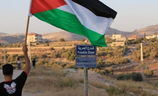 Un Palestinien brandit le drapeau national le 31 juillet 2014 à Billin dans la Bande de Gaza