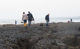 Lors de la marée du siècle, à Préfailles (Loire-Atlantique)