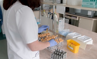 Illustration de recherche médicale. Au centre d'Immunothérapie des cancers, chercheurs, médecins et patients tenteront de faire avancer les recherches sur l'immunothérapie.