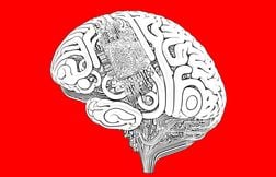 Avec les « bio-ordinateurs », la recherche se branche sur les neurones