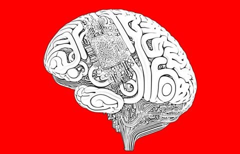 Avec les « bio-ordinateurs », la recherche se branche sur les neurones