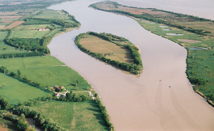 L'île Margaux (Gironde).