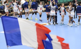 Les joueuses françaises se congratulent après leur victoire contre l'Argentine au Mondial de Handball le 8 décembre 2015 au Danemark