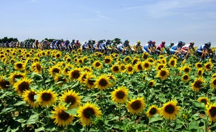 En 2005, l'étape du Tour de France entre Challans et les Essarts.