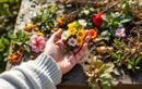 Le secret des bouquets de fleurs qui survivent à la canicule se cache dans les déchets du jardin