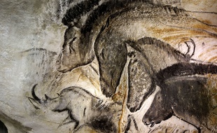 Un fac simile des peintures rupestres de la grotte Chauvet.