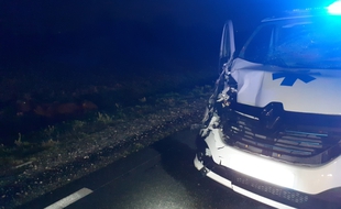 La mairie de Colombier Saignieu (Rhône) a saisi la justice après qu'une ambulance a mortellement percuté un cheval.